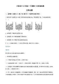 2022-2023学年河南省开封高级中学高一下学期第二次质量检测生物试题含解析