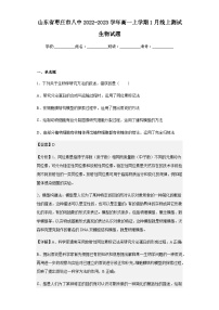 2022-2023学年山东省枣庄市八中高一上学期1月线上测试生物试题含解析