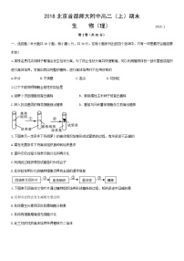 2018北京首都师大附中高二（上）期末生物