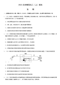 2022北京朝阳高二（上）期末生物（教师版）