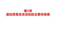 2024届高三生物一轮复习课件第三讲蛋白质是生命活动的主要承担者