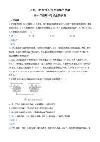 安徽省合肥市第一中学2022-2023学年高一生物下学期期中试题(Word版附解析)