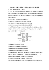 2023年广东省广州重点大学附中高考生物三模试卷（含解析）