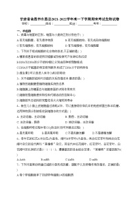 甘肃省金昌市永昌县2021-2022学年高一下学期期末考试生物试卷(含答案)