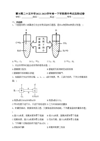 莆田第二十五中学2022-2023学年高一下学期期中考试生物试卷(含答案)