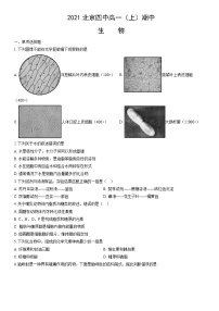 2021北京四中高一（上）期中生物（教师版）