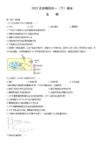 2022北京朝阳高一（下）期末生物（教师版）