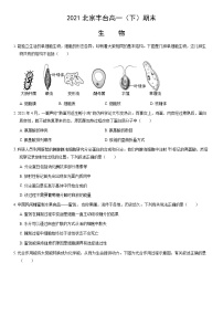 2021北京丰台高一（下）期末生物（教师版）