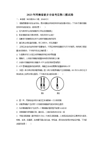 2023年河南省新乡市高考生物三模试卷（含解析）