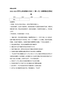 2022-2023学年山东省烟台市高三（第1次）诊断测试生物试卷（含解析）