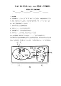 2022-2023学年上海市复旦大学附中高二下学期期中等级性考试生物试题（解析版）