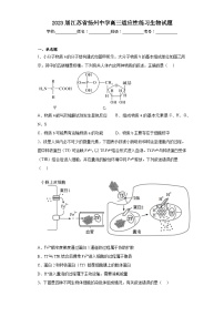 2023届江苏省扬州中学高三适应性练习生物试题（含解析）