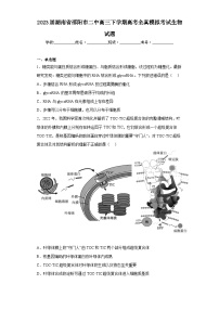 2023届湖南省邵阳市二中高三下学期高考全真模拟考试生物试题（含解析）