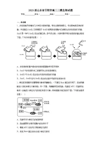2023届山东省日照市高三三模生物试题(含解析)