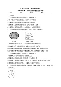 辽宁省抚顺市六校协作体2021-2022学年高二下学期期末考试生物试卷(含答案)