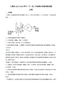 陕西省渭南市大荔县2021-2022学年高二生物下学期期末质量检测试题（Word版附解析）