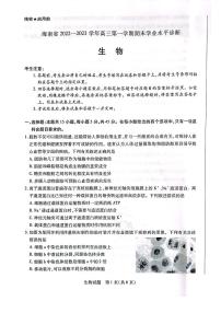 海南省2023届高三上学期期末学业水平诊断生物试卷+答案