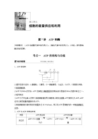 高考生物复习小专题 07-ATP和酶