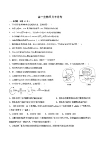 2023辉南县六中高一下学期5月半月考生物试卷含答案