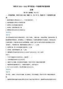 安徽省阜阳市2021-2022学年高一生物下学期期末试题(Word版附解析)