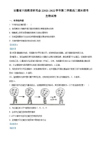 安徽省六校教育研究会2021-2022学年高二生物下学期期末联考试题(Word版附解析)