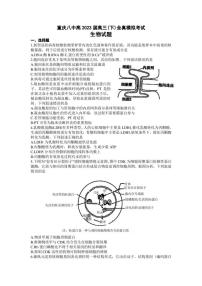 2023届重庆市第八中学高三下学期全真模拟考试（二模）生物试题