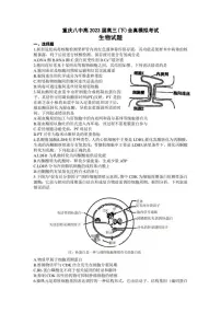 2023届重庆市第八中学高三下学期全真模拟考试(二模)生物试题