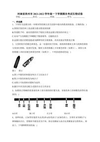 河南省林州市2021-2022学年高一下学期期末考试生物试卷(含答案)