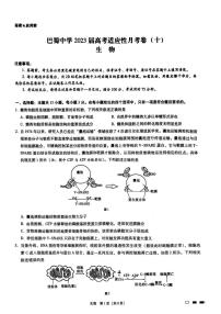 重庆巴蜀中学2023届高考适应性月考卷（十）生物试卷