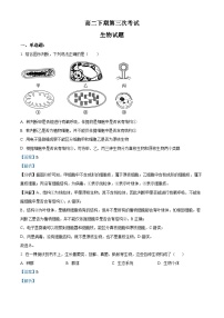 四川省南充市嘉陵一中2022-2023学年高二生物下学期6月月考试题（Word版附解析）