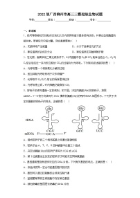 2022届广西柳州市高三三模理综生物试题（含解析）