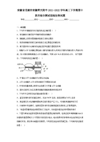 安徽省芜湖市安徽师大附中2021-2022学年高三下学期第十四次综合测试理综生物试题（含解析）