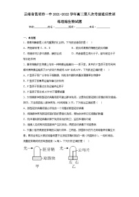 云南省昆明市一中2021-2022学年高三第八次考前适应性训练理综生物试题（含解析）