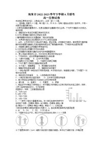 2023青海省海东市高一下学期6月联考生物试题含答案