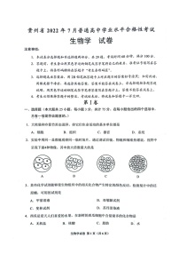 贵州省2022年7月普通高中学业水平合格性考试生物试题