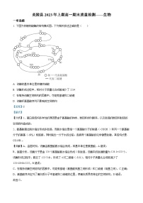 湖南省株洲市炎陵县2022-2023学年高一生物下学期6月期末试题（Word版附解析）