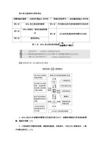 2024届人教版高考生物一轮复习DNA是主要的遗传物质学案