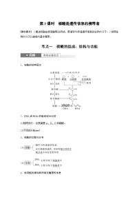 2024届苏教版高考生物一轮复习核酸是遗传信息的携带者学案