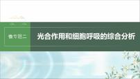 苏教版2024届高考生物一轮复习微专题二光合作用和细胞呼吸的综合分析课件