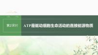 苏教版2024届高考生物一轮复习ATP是驱动细胞生命活动的直接能源物质课件