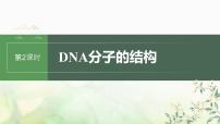 苏教版2024届高考生物一轮复习DNA分子的结构课件