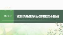 苏教版2024届高考生物一轮复习蛋白质是生命活动的主要承担者课件