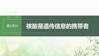 苏教版2024届高考生物一轮复习核酸是遗传信息的携带者课件