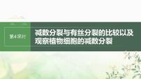 苏教版2024届高考生物一轮复习减数分裂与有丝分裂的比较以及观察植物细胞的减数分裂课件