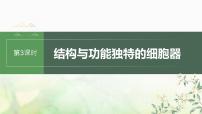 苏教版2024届高考生物一轮复习结构与功能独特的细胞器课件