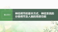 苏教版2024届高考生物一轮复习神经调节的基本方式、神经系统的分级调节及人脑的高级功能课件