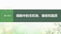 苏教版2024届高考生物一轮复习细胞中的无机物、糖类和脂质课件