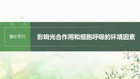 苏教版2024届高考生物一轮复习影响光合作用和细胞呼吸的环境因素课件