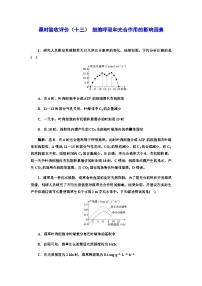 2024届人教版高考生物一轮复习细胞呼吸和光合作用的影响因素作业含答案