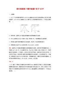 人教版2024届高考生物一轮复习酶和能量“货币”ATP作业含答案